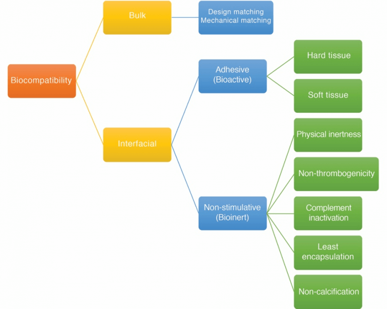 Biocompatibility of Liquid Silicone Rubber (LSR)