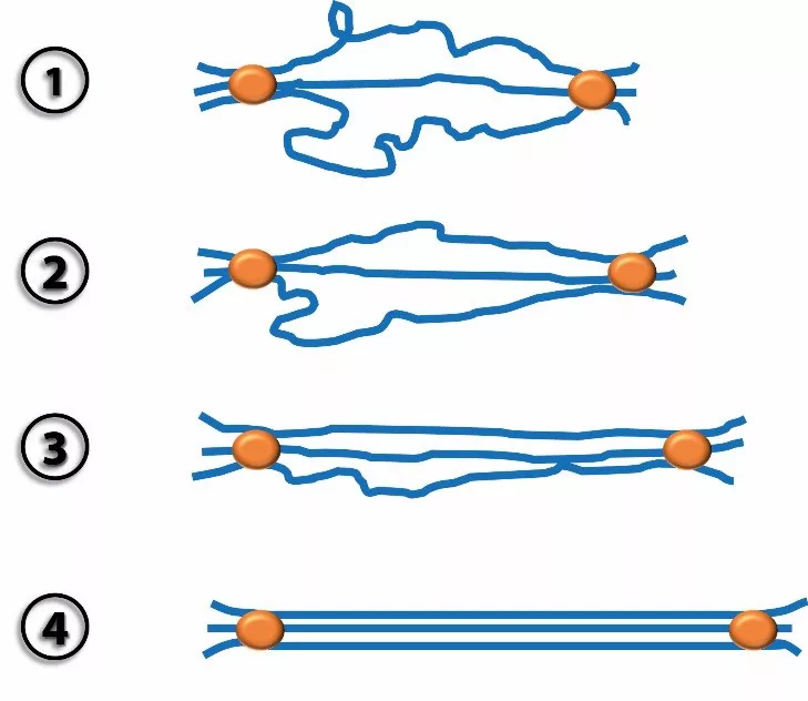 Reinforcing Fillers in Liquid Silicone Rubber Compounds